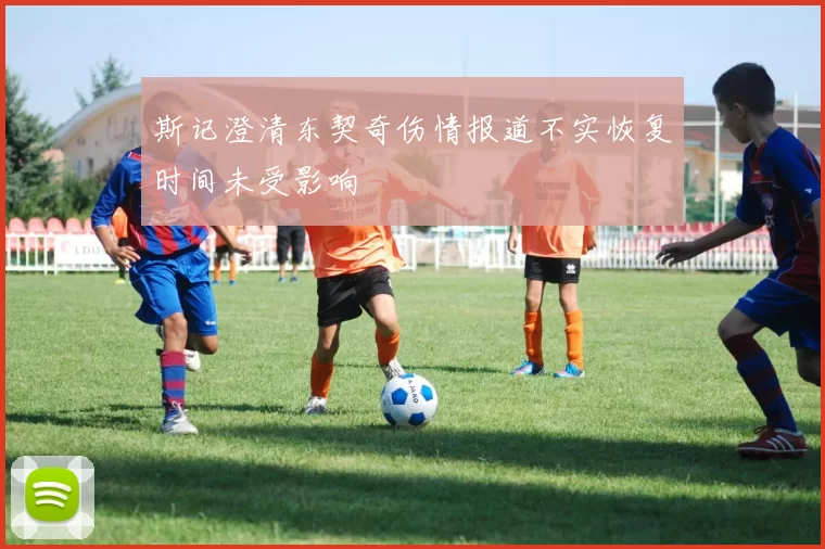 斯记澄清东契奇伤情报道不实恢复时间未受影响