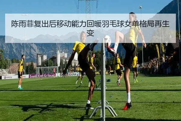 陈雨菲复出后移动能力回暖羽毛球女单格局再生变 - milan